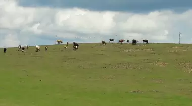 Kunduz Kamp Alanı