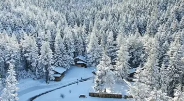 Başkonuş Yaylası