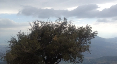 Alahan Manastırı