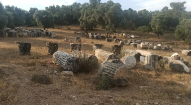 Euromos Antik Kenti