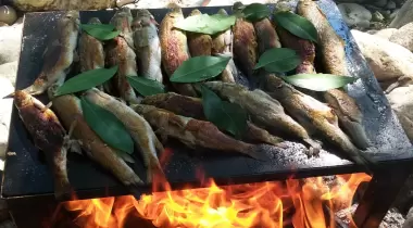 Doğa Pansiyon Değirmenözü