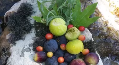 Doğa Pansiyon Değirmenözü