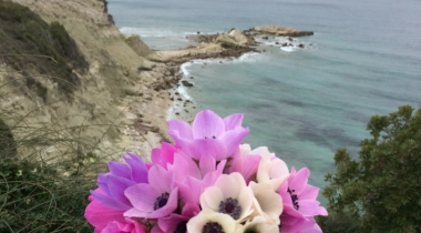 Kanai Antik Kenti ( Yahudi Kalesi )