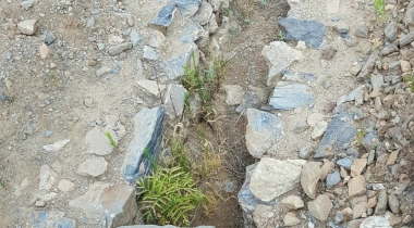 Stratonikeia Antik Kenti