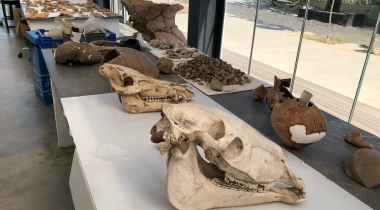 Yeşilova Höyüğü Neolitik Yerleşimi Müzesi