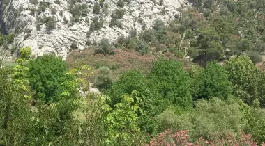 Doğa Pansiyon Değirmenözü