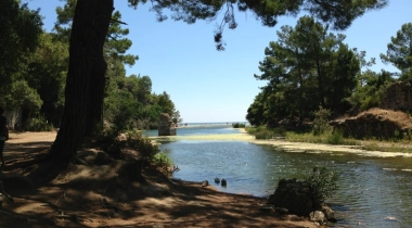 Olympos Antik Kenti