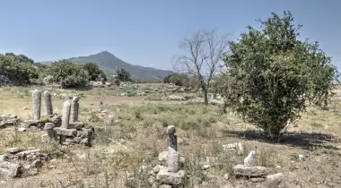 Magnesia Ad Maeandrum Antik Kenti