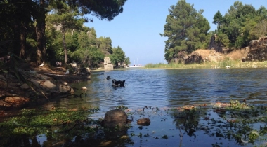 Olympos Antik Kenti