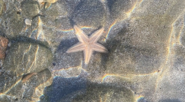 Phaselis Antik Kenti