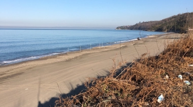 Deniz Camp