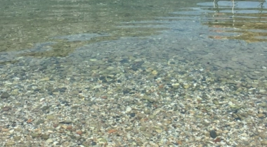Akbük Eses Camping