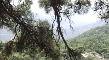 Labraunda (Labranda) Antik Kenti