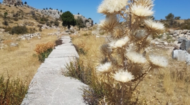 Zengibar Kalesi