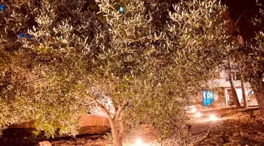 Foça Dome Glamping & Suits