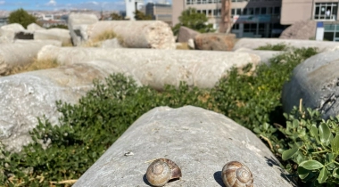 Roma Hamamı Açık Hava Müzesi