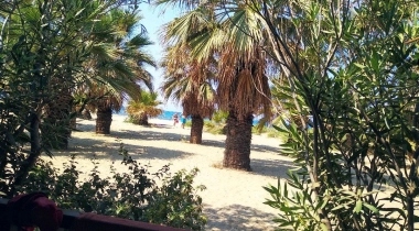 Dereli Motel ve Kamping