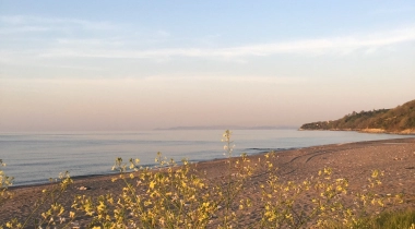 Deniz Camp
