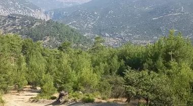 Doğa Pansiyon Değirmenözü