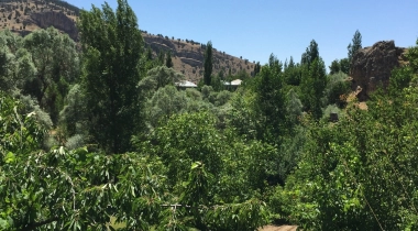 Şar Antik Kenti