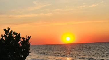 Deniz Camp