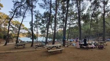 Katrancı Orman Kampı