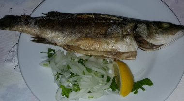 Sokakağzı Zeytin Kamp