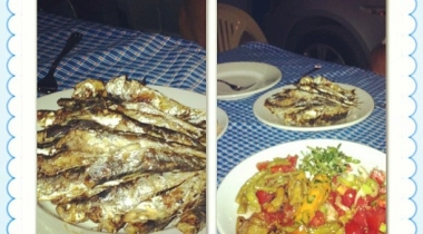 Sokakağzı Zeytin Kamp