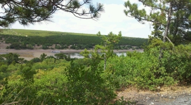 Musaözü Tabiat Parkı