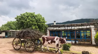 Obasya Kırsal Konaklama Tesisi (Obasya Otel)