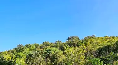 Camperist Caravan & Camping