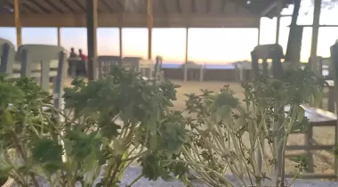Zeytinkale Beach & Restaurant - Glamping