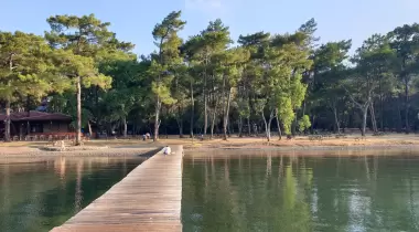 Çubucak Orman Kampı