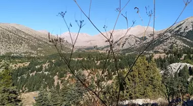 Beydağı Kamp Alanı