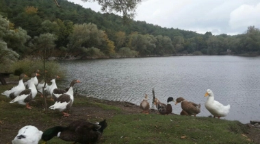 İzmir Karagöl Tabiat Parkı