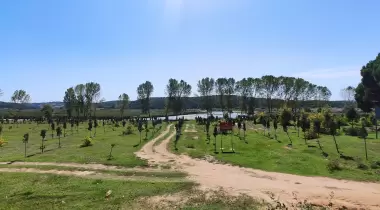 Ormalı Kamp Alanı