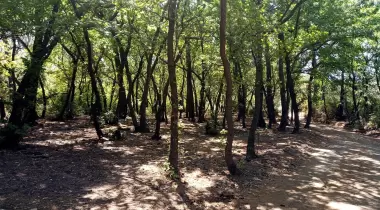 Balık Aşıran Koyu