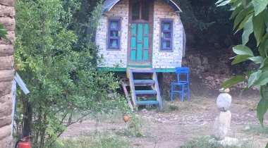 Papaya Camping