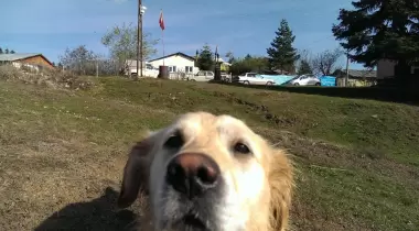 Seviller Yaylası