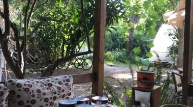 Papaya Camping