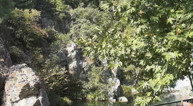 Kazdağı Kamp