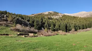 Beydağı Kamp Alanı
