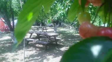 Ekrem Kamping ve Piknik Alanı