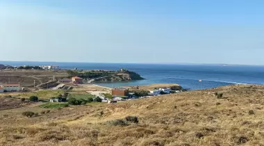 AKVARYUM KOYU