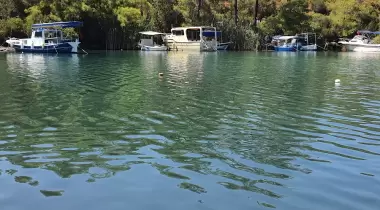 Balık Aşıran Koyu