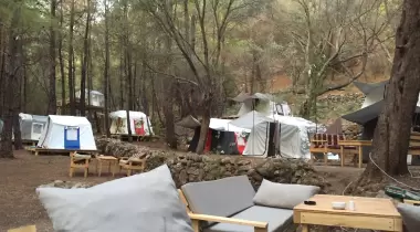 Kabak Lost Forest Camping