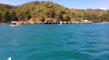 Katrancı Orman Kampı