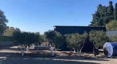 Forsa Camping