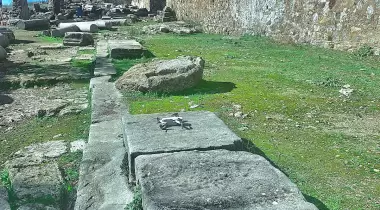 Syedra