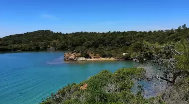 Balık Aşıran Koyu